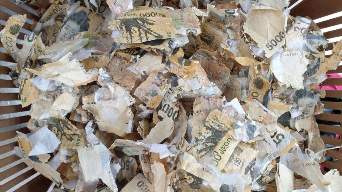 Damaged bills 2 